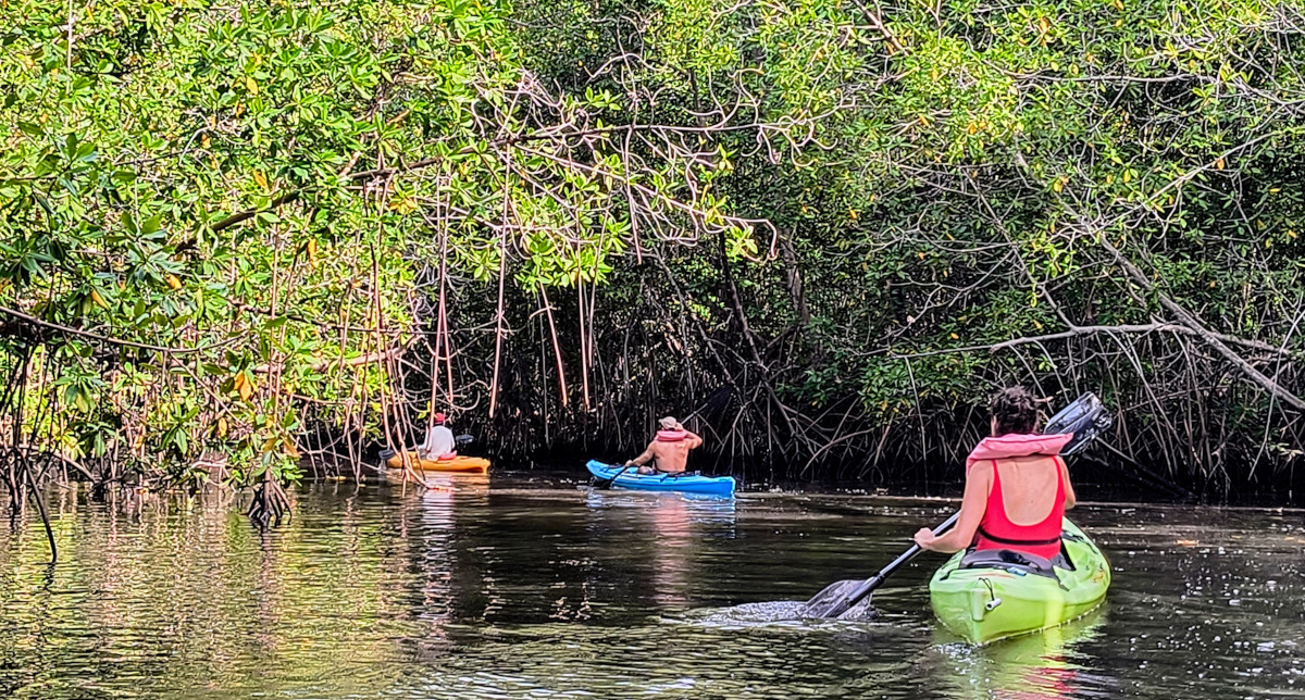 Jiquilisco-bay-tour-spider-kayak