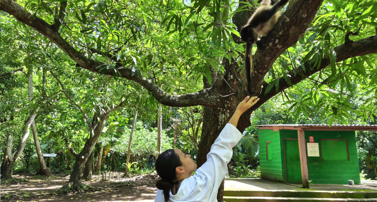 monkey-sanctuary-el-salvador-jiquilisco-bay
