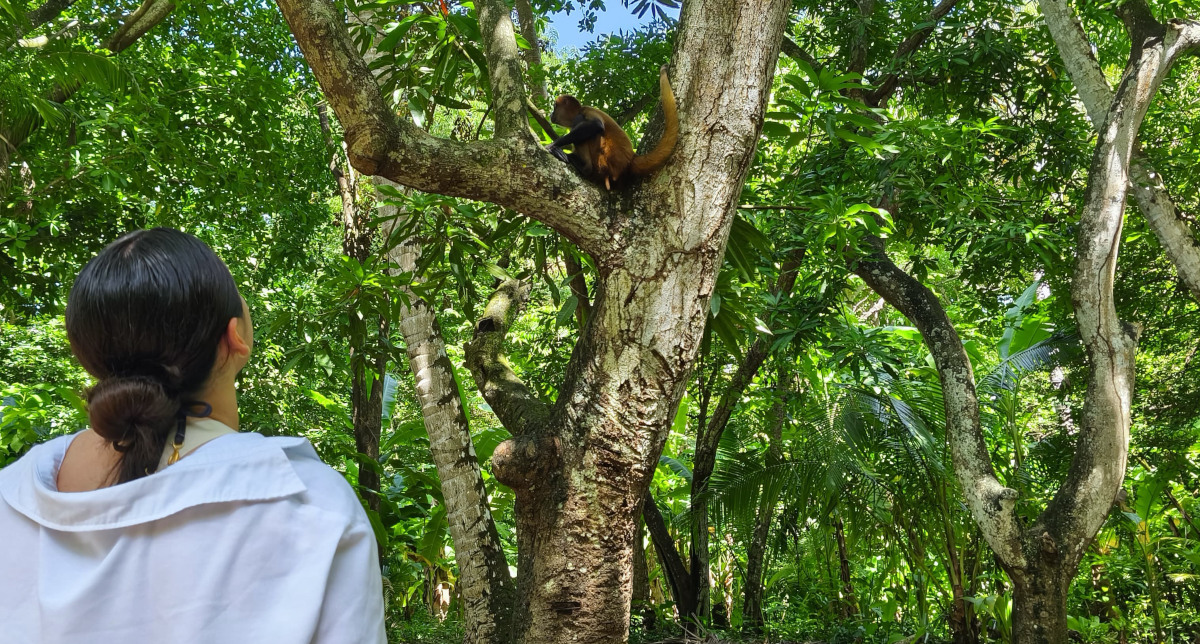 monkey-sanctuary-el-salvador